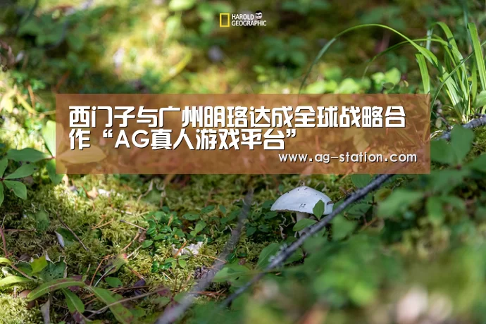 AG真人游戏平台
