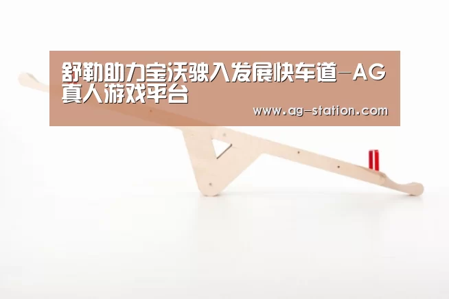 舒勒助力宝沃驶入发展快车道-AG真人游戏平台(图1) AG真人登录